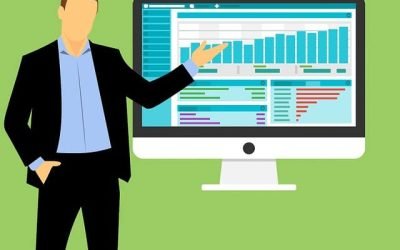 Análisis de Audiencias Para Dueños de Pequeños y Medianos Negocios: Tu Guía en la Web