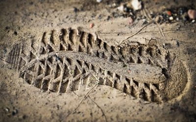 Crear tu Marca Digital: la Puerta de Entrada al Internet de los Triunfadores